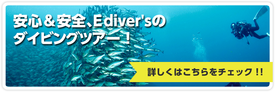 安心＆安全、E diver'sのダイビングツアー！詳しくはこちらをチェック!!