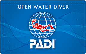 PADI オープンウォーターダイバーライセンス