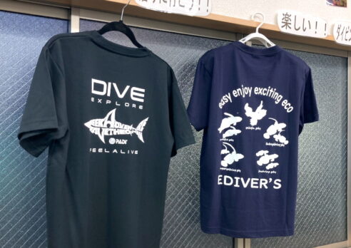 🌊【新作】PADIのおしゃれドライTシャツ登場！海を守る想いが詰まったデザイン🦈✨